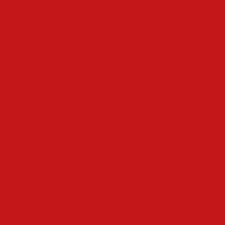 Profusion sametový tint na rty Blur Fudge Lip Tint, Ruby, 10ml