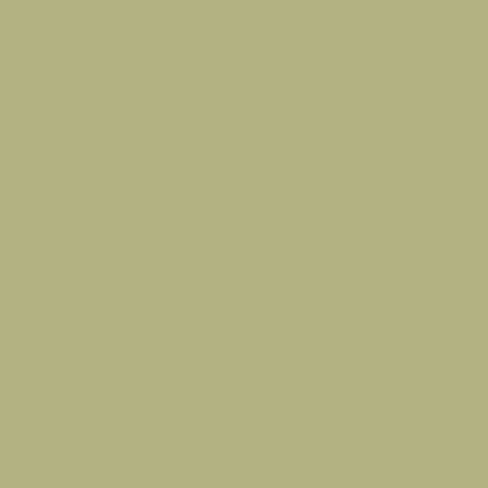 PASTEL COSMETICS lak na nehty, 412 - Honey, 13ml