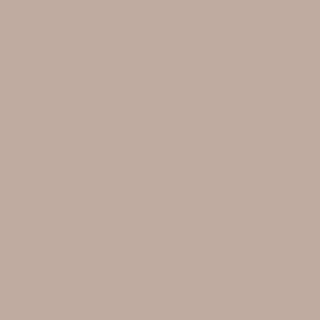 PASTEL COSMETICS lak na nehty, 422 - Ash, 13ml
