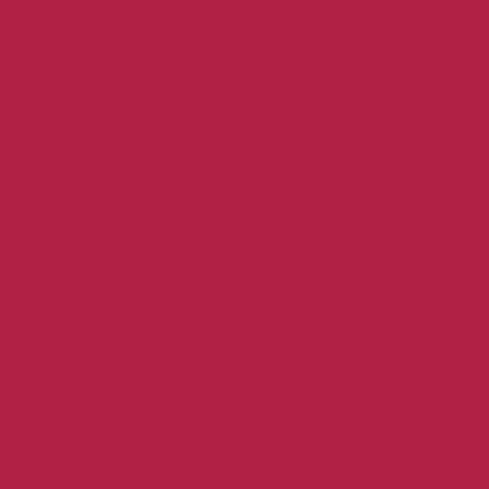 PASTEL COSMETICS lak na nehty, 445 - Flamingo, 13ml