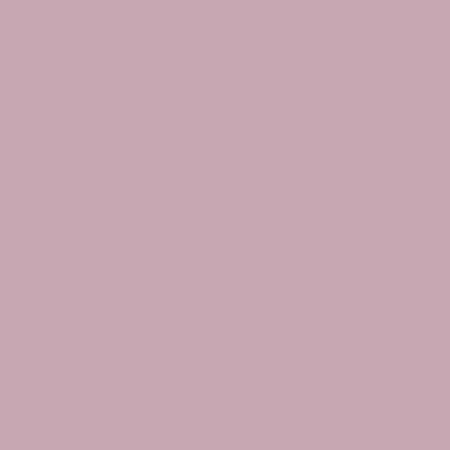 PASTEL COSMETICS lak na nehty, 448 - Wisteria, 13ml